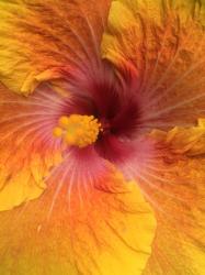 User Profile: modorange07
