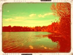 User Profile: limegreenLake1865