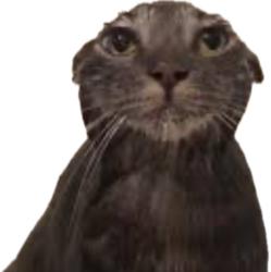 Yoskrrt profile picture