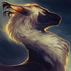 User Profile: kittydragon771