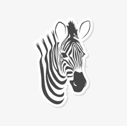 User Profile: proactiveZebra