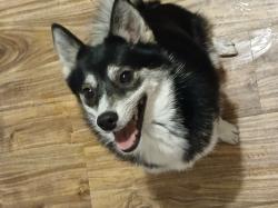 User Profile: SugarFreePlumFaery