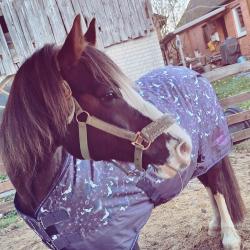 User Profile: Justnotleooo