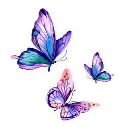 User Profile: ButterflyMountainReader