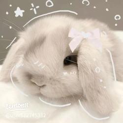 BunFromThe90s profile picture