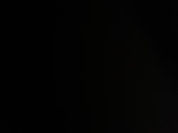 User Profile: CallumKing2000