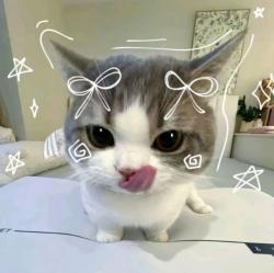 User Profile: SQUID001