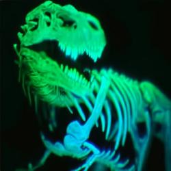 User Profile: fiftytw0hertz
