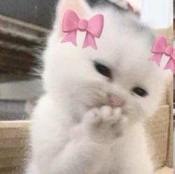 User Profile: olivetrww