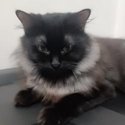 daphneG576 profile picture