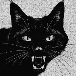 User Profile: hissingcat