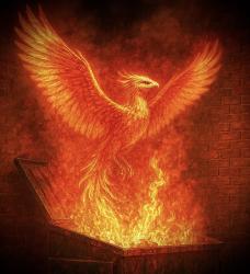 ScottYhePhoenix profile picture