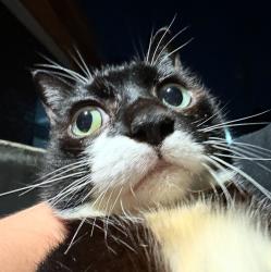 User Profile: beachmelon74
