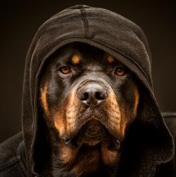 User Profile: DarkerPlaces