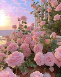 User Profile: crimsonPeach1526