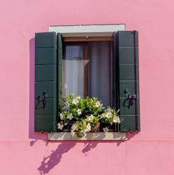 User Profile: spiderkate95