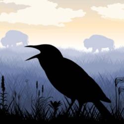 User Profile: DakotaRaven