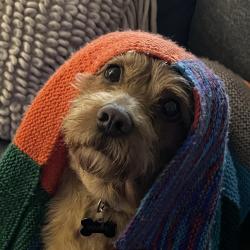 User Profile: GracieMACK