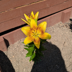 User Profile: Denise60
