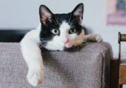 User Profile: PatienceImpatiens