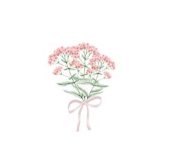 User Profile: Angelx28