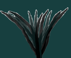 User Profile: bloom126