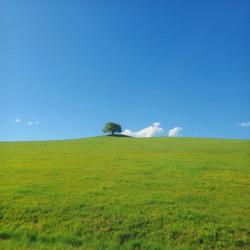 User Profile: Andrenloland