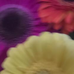 User Profile: moonfawn012