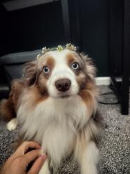 rlaceyr profile picture