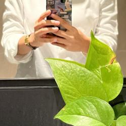 User Profile: honestLake2911