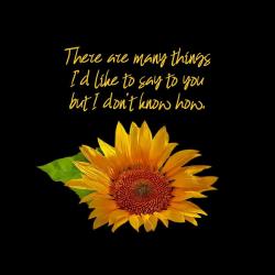 User Profile: MoonAndSunflower