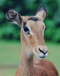 Mooniey profile picture