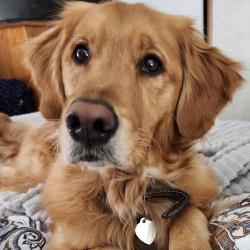 User Profile: Chellebugcaregiver