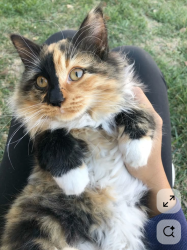 User Profile: Ocelot1628
