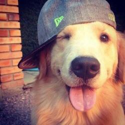User Profile: hellomamas