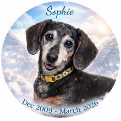 User Profile: Hopeful0001