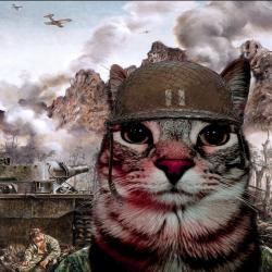 User Profile: hermess785