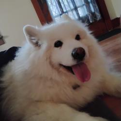 User Profile: dapperNest2125