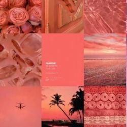 User Profile: SomieEze