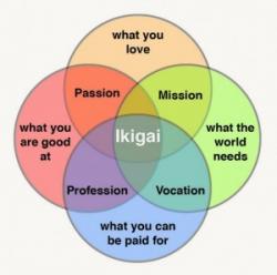 User Profile: Looking4Ikigai