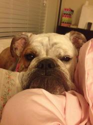 User Profile: hoofbeatsandheartbeats