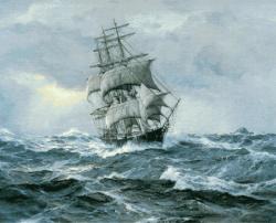 User Profile: pluckySail