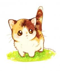 User Profile: ToastedCandy