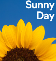 User Profile: 1370sun