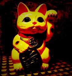 User Profile: ManekiNeko