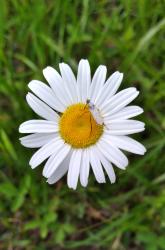User Profile: 2photographer92