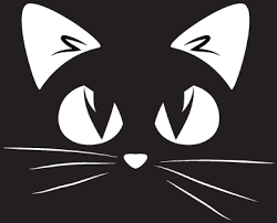 User Profile: meez78