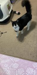 User Profile: compassionateBlueberry4830