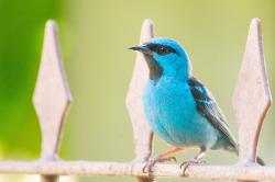 User Profile: blue9673