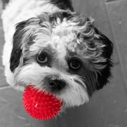 User Profile: Sidneymacsid